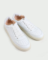 AGL Sneaker